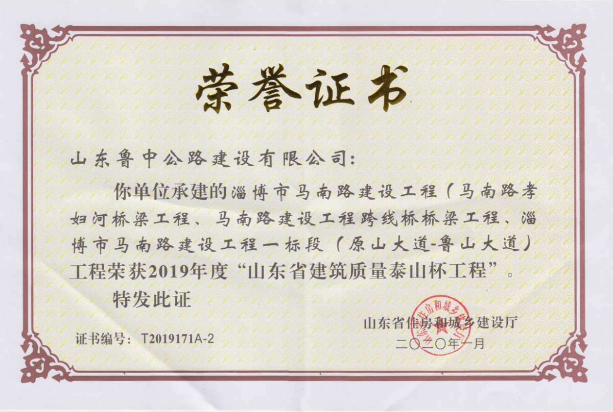 泰山杯證書