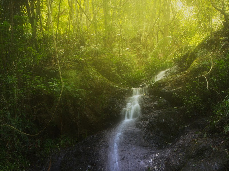 細水長流，持續(xù)學習，忘我工作，共建臻美臨臨——讀《細水長流，忘我工作，重建美麗家園》有感