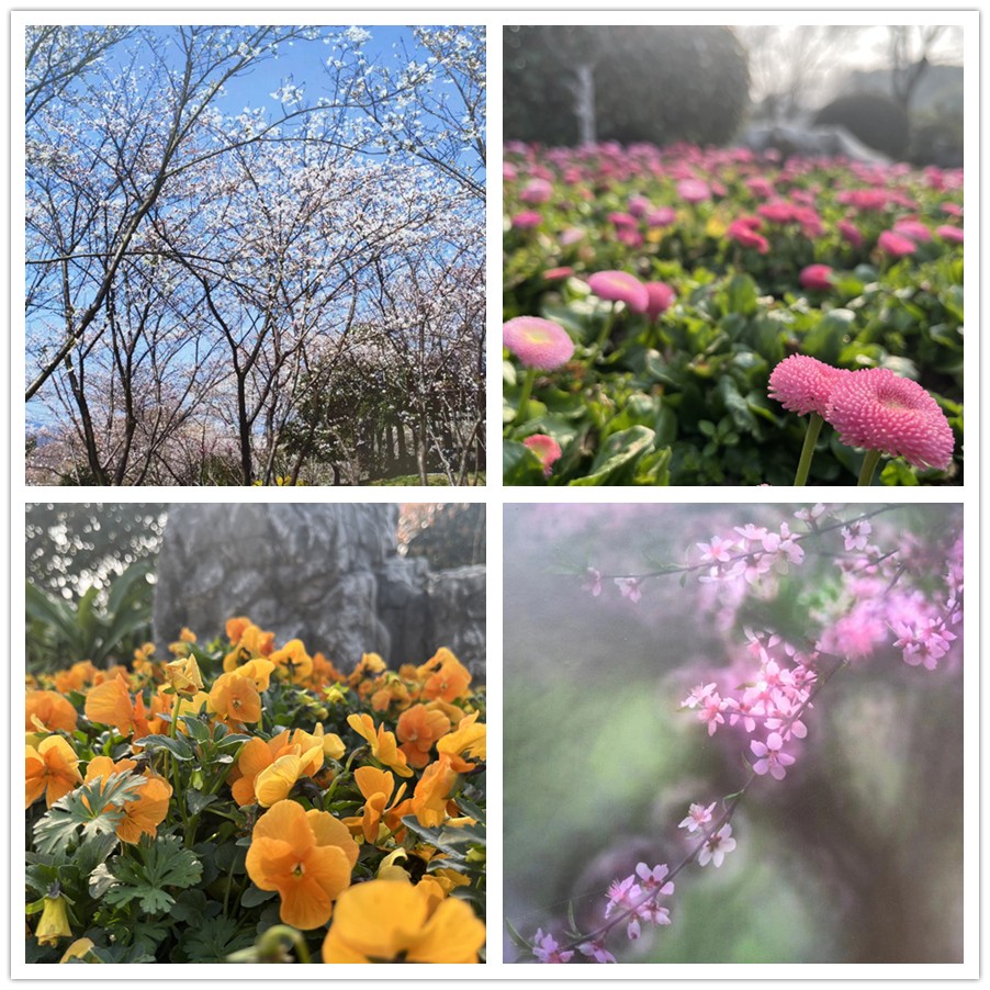【女神節(jié)專題】一路走來一路拍——于金瀅攝影集之打卡玄武湖、中山陵