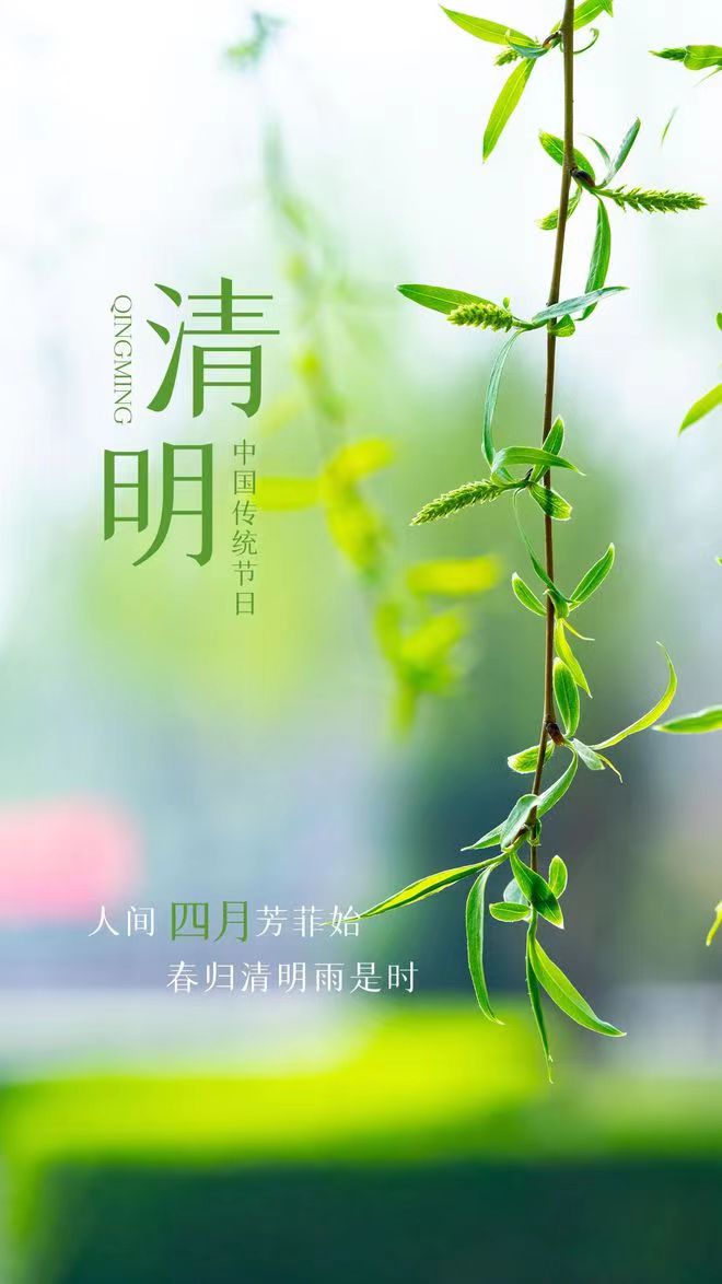 清明情  潤生活