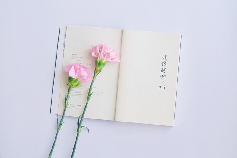母愛