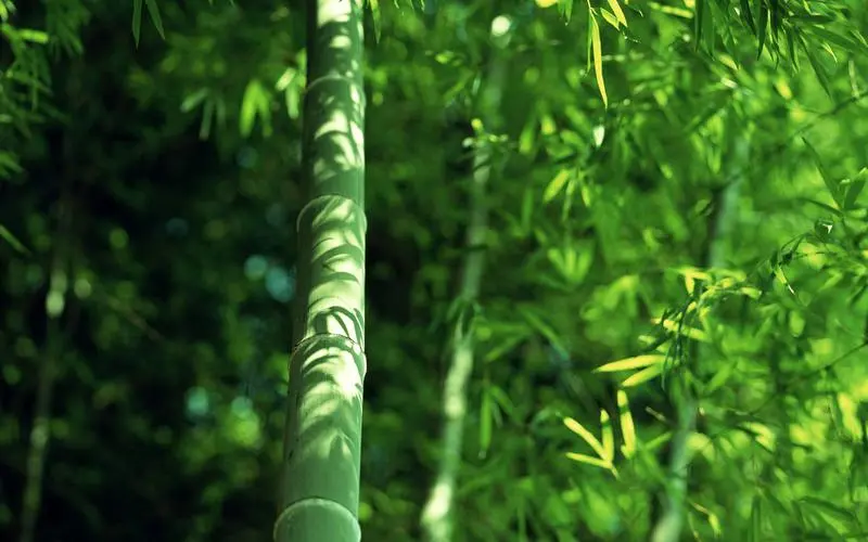 結(jié)束是最好的開始