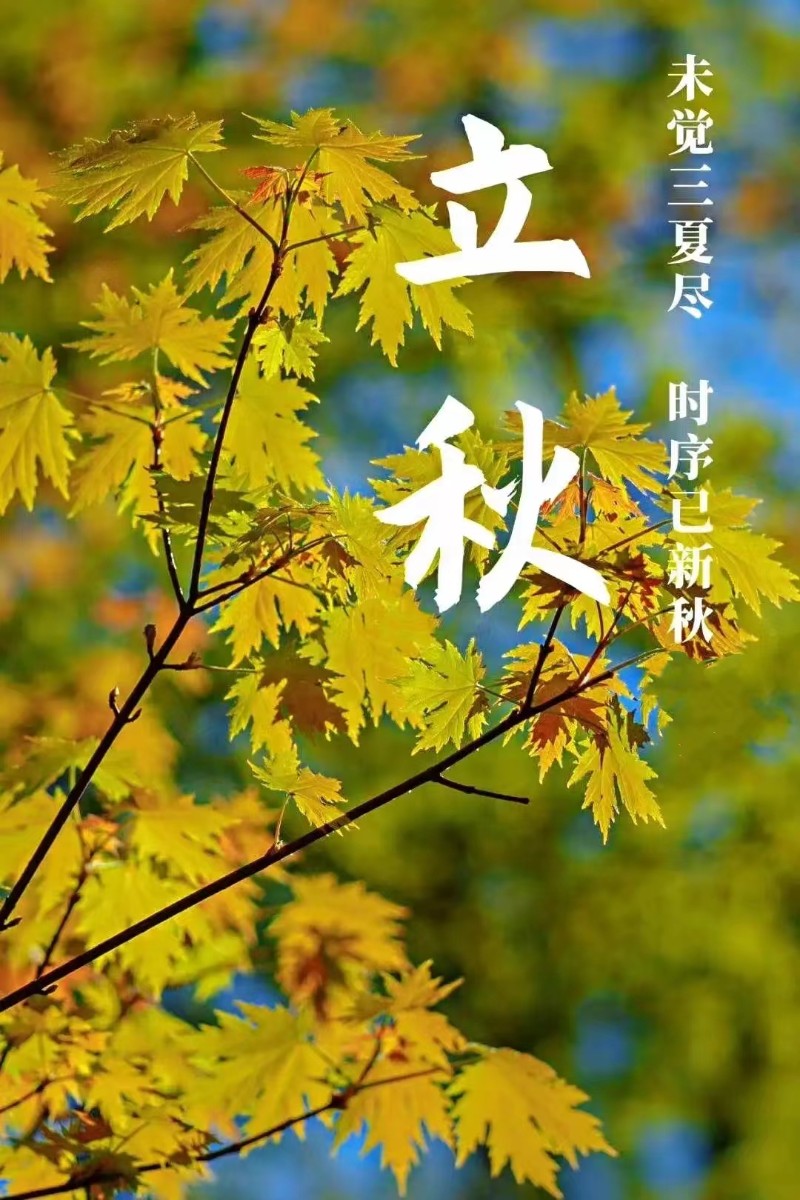 立秋風起，心自清涼