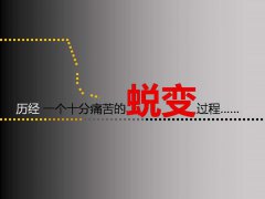 磨練中的蛻變