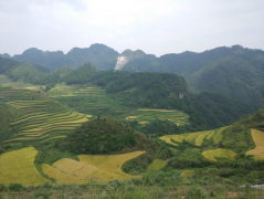 三都隨筆
