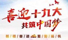 十九大你點贊了嗎？