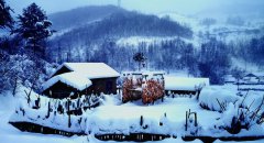 夜嘆瑞雪