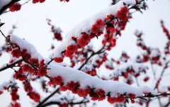 期待與未來(lái)