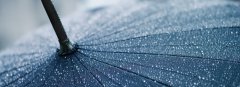 雨傘情緣