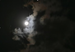 夜行記