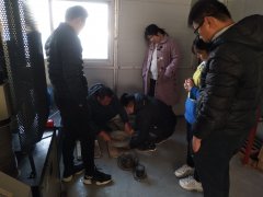為則通達(dá)，學(xué)無止境