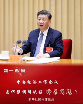 中央經(jīng)濟工作會議，為何強調(diào)解決好種子問題？
