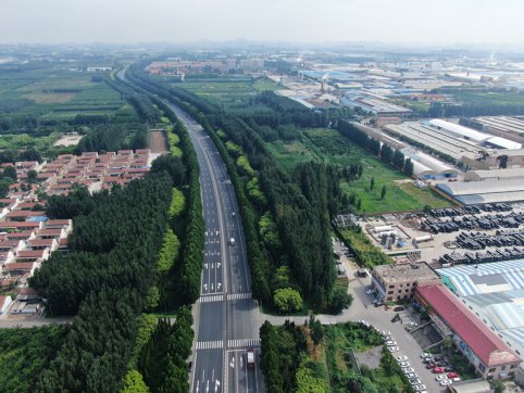 美麗的路